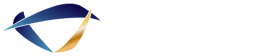 GVI INC